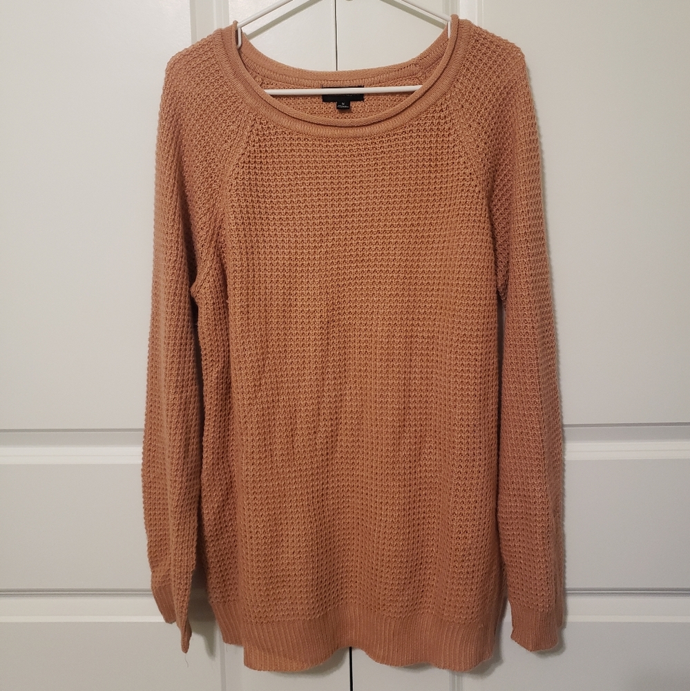 EUC Ambiance Apparel Size 1X Long-sleeved Light Mauve, Knit Sweater